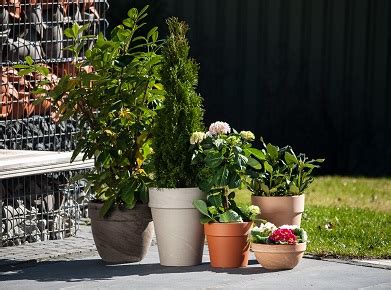 spabng|Spang – The Flowerpot Factory – Original manufactured Flowerpots.